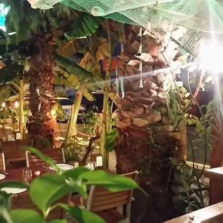 باياز ملك فندق