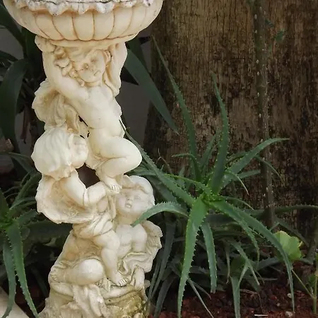 باياز ملك